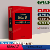 [正版]2024适用中华人民共和国民法典注释法典 新五版法律法规典型案例实务问答民法典条文注释司法解释合同法物权法侵权