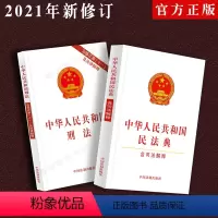 [正版]2023适用中华人民共和国民法典+刑法法条法律书籍全套2本民法典司法解释刑法含修正案十一单行本法律法规法律条文