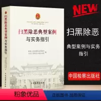 [正版] 扫黑除恶典型案例与实务指引 人民检察院扫黑除恶专项斗争领导小组办公室 编 中国检察出版社 978751022