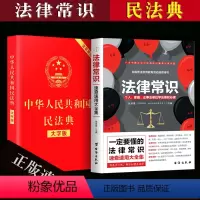 [正版]中华人民共和国民法典 大字版中国和法律常识 法律常识速查速用大全集 民法典全2册 法律常识一本全 法律基础知识