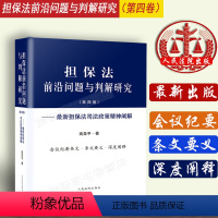 [正版]新书 全国法院民商事审判工作会议纪要担保法前沿问题与判解研究(第四卷)新担保法司法政策精神阐解 民商事审判工作