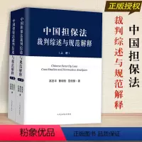[正版]新书 中国担保法裁判综述与规范解释 上下册 高圣平 法律解释指导案例公报案例典型案例裁判观点 人民法院出版社9