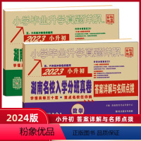 语文(附英语)+数学2本套装 小学升初中 [正版]2024版小考升学湖南名校招生分班真卷精选语文英语数学全套2021年长