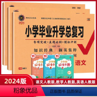 语数英[人教版] 小学升初中 [正版]任选2024版小学毕业升学总复习语文数学英语3本全套 归类复习题型专练模拟测试卷小