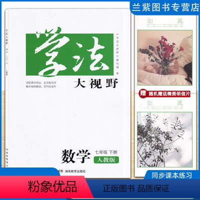 数学 七年级下 [正版]全新2023春季 学法大视野七年级数学下册人教版RJ湖南教育出版社 课前预习课堂探究训练课后提升
