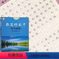 [正版]全新 书写行天下 好句好段 楷书钢笔字帖 好字不难练方法关键字帖事半功倍针对基础培养字体规范中小学生高中大学成