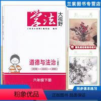 [正版]2022 学法大视野六年级下册 道德与法治RJ人教版 湖南教育出版社 同步练习册 学法大视野政治六年级下册 湘