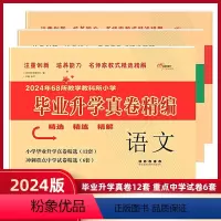 语数英[3本] 小学升初中 [正版]2024新版 毕业升学真卷精编小学通用语文数学英语全国通用版 小学生升初中 小升初冲