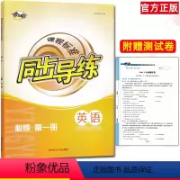 高中英语全 小学升初中 [正版]新改版2021秋 课程标准同步导练英语必修第一册 考向标 湖南师范大学出版社同步导练英语