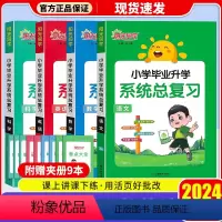 [通用版]语文+数学+英语+科学 4本套 小学升初中 [正版]2024版阳光同学小学毕业小升初系统总复习语文数学英语科