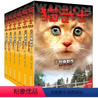 猫武士首部曲 [正版]猫武士全套6册首部曲小学生一二三年级四五六年级阅读课外书猫武士系列原版成长动物冒险奇幻小说故事书儿