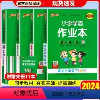 [4本]语文(人教版)+数学(人教版)+英语(人教版)+科学(教科版) 六年级下 [正版]2024PASS绿卡图书小学学