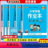 [4本]语文(人教版)+数学(人教版)+英语(人教版)+科学(教科版) 五年级下 [正版]2024PASS绿卡图书小学学