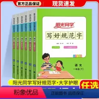 写好规范字 一年级下 [正版]2024写好规范字一年级二年级三年级四年级五年级六年级上册下册小学语文同步字帖练字生字词练