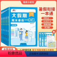 一升二 小学通用 [正版]培优2023新版大假期小学生期末暑假一本通期末复习一二三四五年六级小学暑假作业一天一练暑期衔接