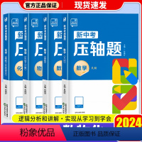 80%❤️4 本[学霸推荐] 九年级 [正版]2024新版 新中考压轴题数学函数几何物理化学初三总复习资料挑战压轴题高