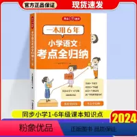 开心·第1版·小学语文考点全归纳·全一册 小学通用 [正版]2024新版 开心小学语文考点全归纳全一册一本用6年 核心考