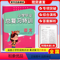 语文 小学升初中 [正版]2024新小学毕业总复习特训小学生升学专项训练期末专题复习综合测试真题卷 作业本专项训练习题浙