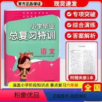 语文 小学升初中 [正版]2024新小学毕业总复习特训小学生升学专项训练期末专题复习综合测试真题卷 作业本专项训练习题浙
