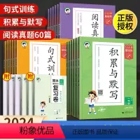 24春下册]3本套⭐积累与默写+句式训练+阅读真题60篇 小学一年级 [正版]53小学基础练句式子训练大全一二三四五六下