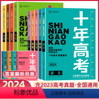 2024高考语文 全国通用 [正版]2024新版十年高考真题汇编数学物理语文英语化学生物政治历史地理高考语文考点精讲与分