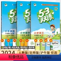 六本 53天天练+全优卷]语文+数学+英语 人教版 六年级下 [正版]2024新版53天天练六年级下册语文数学英语人教版