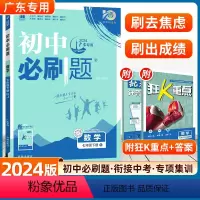 数学 人教版-广东专用 [正版]2024版初中七年级下册数学人教版同步训练初一下册北师湘教沪科数学7年级七下练习册全套试