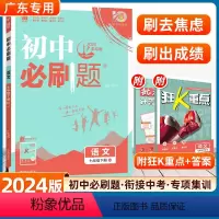 语文 人教版-广东专用 [正版]2024版初中必刷题七年级下册语文人教版初一7年级RJ课文复习资料初中同步练习册七下必刷