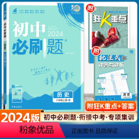 历史 人教版 八年级上 [正版]2024新版初中八年级上册历史人教版RJ 初二八年级上册历史教辅书同步辅导练习册 八上历