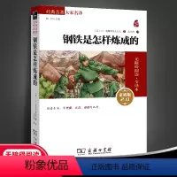 经典名著大家名译:钢铁是怎样炼成的 [正版]经典名著大家名译--钢铁是怎样炼成的(无障碍阅读&全译本)(素质版)