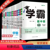 九年级上册+下册数学苏科版 九年级/初中三年级 [正版]江苏版2024版学霸题中题九年级上下册语文数学英语物理化学 苏科
