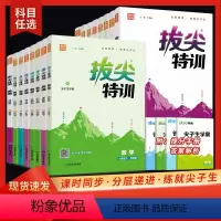 [译林版]英语 七年级下 [正版]2024版通城学典拔尖特训七年级八年级九年级上下册语文数学英语物理人教译林苏科版初一初