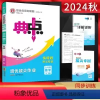 数学 九年级上 [正版]2024秋典中点九年级上册数学人教版初三9年级上学期 荣德基典中点同步课时作业练习题初中典点九上