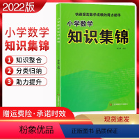[正版]2022版 小学数学知识集锦通用版 小学数学知识大全 小学数学资料包 快速提高数学成绩的得力助手123456年