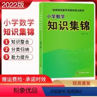 [正版]2022版 小学数学知识集锦通用版 小学数学知识大全 小学数学资料包 快速提高数学成绩的得力助手123456年