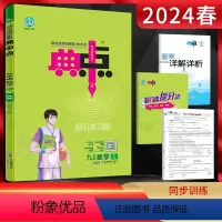 数学 九年级下 [正版]2024春 典中点九年级下册数学人教版RJ版 荣德基典中点初三9年级数学下课时同步辅导练习题 附