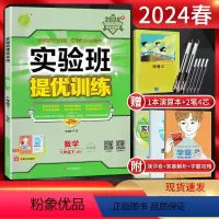 数学 八年级下 [正版]江苏版2024春实验班提优训练八年级下册数学苏科版SK 8年级八下苏教版同步课时作业本强化训练尖