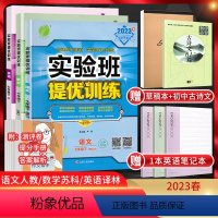 [三本套装]七下语数英江苏专用 七年级下 [正版]江苏版2023春实验班提优训练七年级下册语文人教+数学苏科+英语译林版