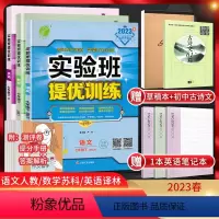 [三本套装]七下语数英江苏专用 七年级下 [正版]江苏版2023春实验班提优训练七年级下册语文人教+数学苏科+英语译林版