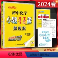 化学 九年级下 [正版]2024春恩波教育提优版初中化学九年级下册人教版RJ 初三9年级化学九下同步课时训练辅导资料练习