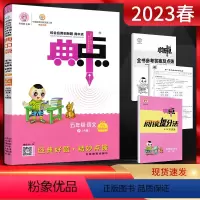 语文 五年级下 [正版]2023春 典中点五年级下册语文人教版RJ 小学5年级语文下教辅资料提优课时作业本五年级语文同步