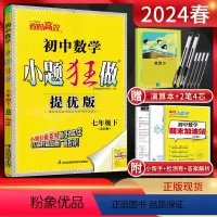 数学 七年级下 [正版] 江苏版2024春恩波教育提优版初中数学七年级下册苏科版SK初一7年级下苏教版同步课时作业训