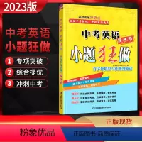英语 全国通用 [正版]2023版 恩波教育小题狂做提优版中考英语 首字母填空与任务型阅读 初三九年级英语专项复习提优训