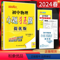 物理 九年级下 [正版]江苏版2024春恩波教育 九年级下册物理苏科版SK提优版 9年级物理九下苏教版同步课时作业训练初