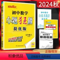 数学 九年级上 [正版]2024秋恩波教育 提优版初中数学九年级上册 苏科版SK 初三9年级上学期江苏版 同步课时训练作
