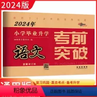 语文 小学升初中 [正版]2024年小学毕业升学考前突破 语文 名校名师小学六年级毕业升学专项训练测试卷 名校小升初必刷