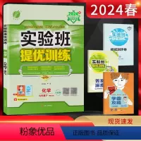 化学 九年级下 [正版]2024春实验班提优训练九年级化学下册人教版RMJY 初三9年级化学下学期同步课时训练尖子生提高