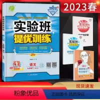 语文 九年级下 [正版]2023春 实验班提优训练九年级下册语文人教版江苏 初三语文练习册 九年级下册语文同步训练 9年