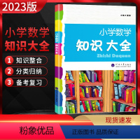 数学 小学通用 [正版]2023版 小学数学知识大全 全国通用版 小学3456三四五六年级上下册通用小学数学资料包专项培