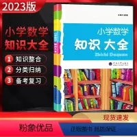 数学 小学通用 [正版]2023版 小学数学知识大全 全国通用版 小学3456三四五六年级上下册通用小学数学资料包专项培